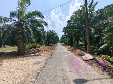 Agricultural-Land-for-sale-Kuala-Langat-Selangor