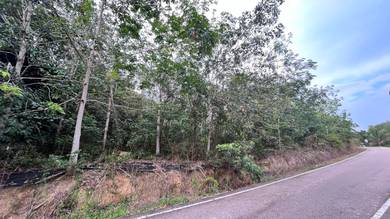 Tanah Kebun Getah Tepi Jalan Kampung Kg Paya Besar Segamat Pogoh
