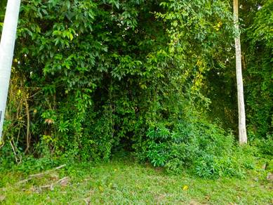Agricultural-Land-for-sale-Kuala-Terengganu-Terengganu