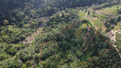 Agricultural-Land-for-sale-Karak-Pahang