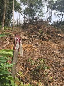Agricultural-Land-for-sale-Lubok-China-Melaka