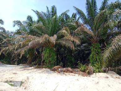 6 Acres Land For Sale In Semenyih