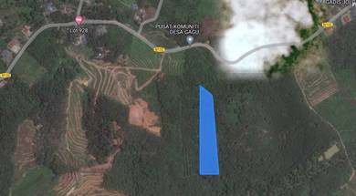 Tanah Pertanian Kampung Gagu Ulu Triang Kuala Klawang Jelebu