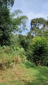 2.68 ekar Tanah Kebun Dusun Batu 22 Sungai Lui Hulu Langat