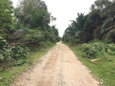 Freehold Agriculture Land For Sale At Meru,Selangor