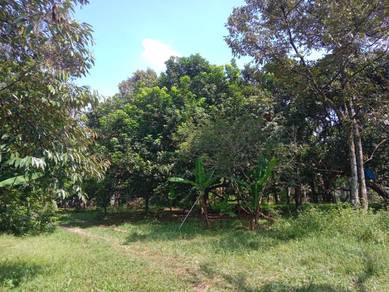 2.2 Acres Land For Sale in Broga, Semenyih