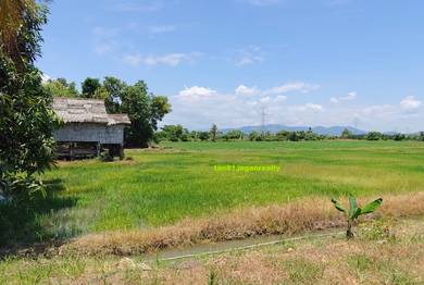 Kota Belud Kudat KK (Paddy field) Roadside vacant Land NT2.91acs