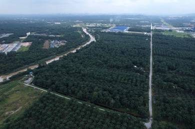Residential-Land-for-sale-Kuala-Langat-Selangor-2
