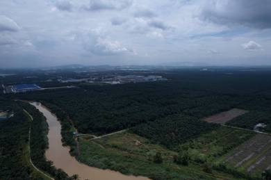 Residential-Land-for-sale-Kuala-Langat-Selangor-3