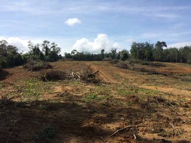 Agricultural-Land-for-sale-Senawang-Negeri-Sembilan