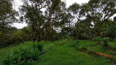 Agricultural-Land-for-sale-Raub-Pahang