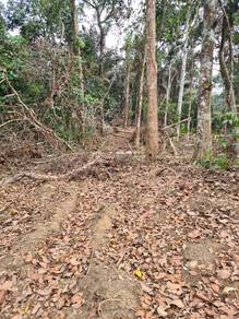 TANAH DENGAN ANAK SUNGAI di Tanjung Malim sesuai utk Weekend Home