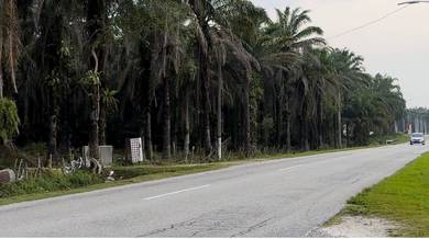 Agriculture Land Bidor Town Main Road Stesen 2 Kg Tersusun Muhibbah