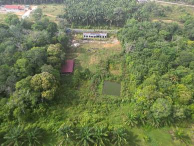 TANAH KEBUN DUSUN 1.4 Ekar di Lukut, Kota Tinggi [VIEW GUNUNG PANTI]