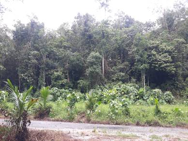 Tanah Pertanian Kampung Loh Karai Kuala Kangsar Perak