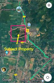 Agricultural-Land-for-sale-Balik-Pulau-Penang