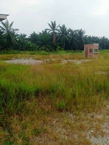 Agricultural Land at Telok Panglima Garang