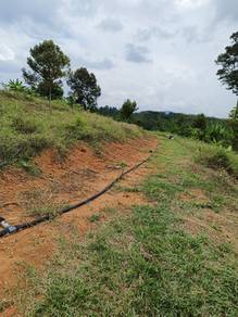 4.9 Acres Land For Sale in Jalan Sg. Lalang, Semenyih