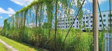 Detached Lot, Jalan Nanas