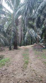 Agricultural-Land-for-sale-Others-Melaka