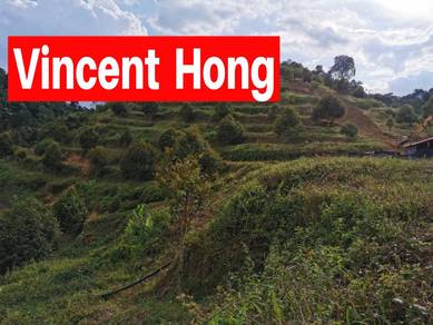 Agricultural-Land-for-sale-Jelebu-Negeri-Sembilan