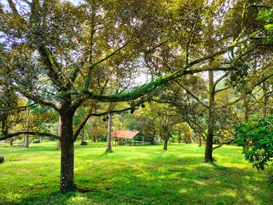 Agricultural-Land-for-sale-Hulu-Langat-Selangor