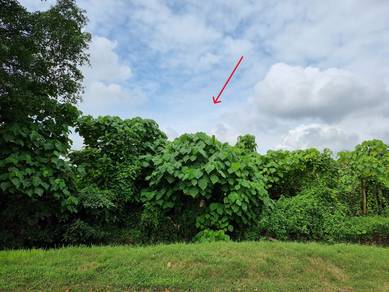 Agricultural Land For Sale - Kg Bukit Lanchong