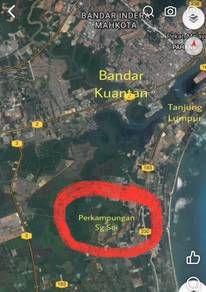 Agricultural-Land-for-sale-Kuantan-Pahang