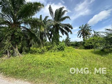 Agricultural-Land-for-sale-Kuala-Langat-Selangor