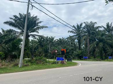 Agricultural-Land-for-sale-Telok-Panglima-Garang-Selangor