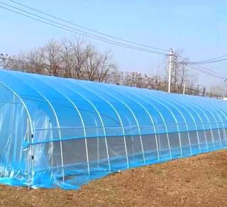 12s x 10m x 6m uv sheet (lebar) / Blue Greenhouse