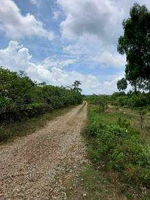 Chenor, Tanah Pertanian utk DiJUAL, Ada Jalan Masuk