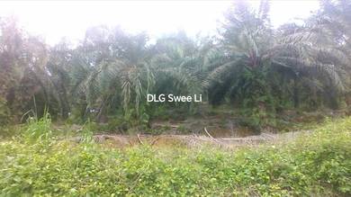 220 acres Palm Oil Platation Kuala Pilah Simpang Dangi Johol to Grab