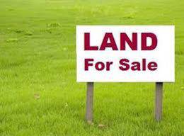 Industrial-Land-for-sale-Kuala-Langat-Selangor