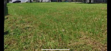 Agri land Residential Zon Meru , Klang