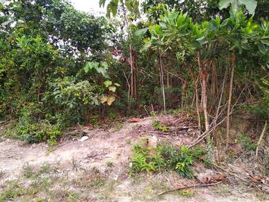 1 acres Orchard Land at Pedas Fruits Park, Kg. Kindur Hulu