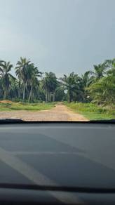 Agricultural-Land-for-rent-Telok-Panglima-Garang-Selangor