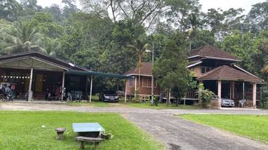Agricultural-Land-for-sale-Bentong-Pahang