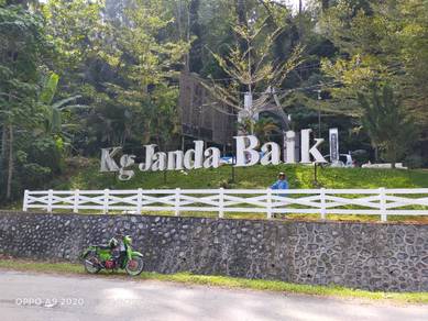 Tanah Janda Baik tepi sungai direct owner