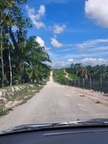 MURAH [Lot Pertanian 8 Ekar++] FREEHOLD, Gemas Negeri 9