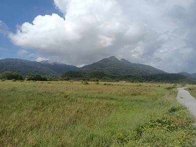 Tanah, sunset and sunrise view, paddy field, Ulu Melaka, Langkawi