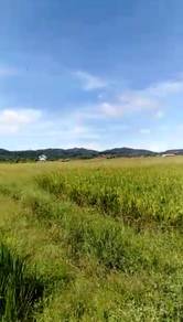 Tanah, sunset and sunrise view, paddy field, Ulu Melaka, Langkawi