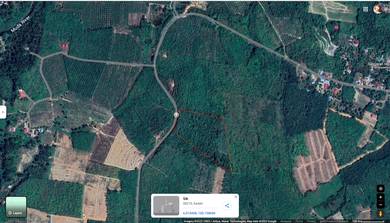 Agricultural-Land-for-sale-Sik-Kedah