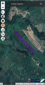 Agricultural-Land-for-sale-Sik-Kedah