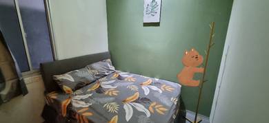 Co-living Bilik Sewa Melaka Musai Bukit Baru Kastam Hospital Besar