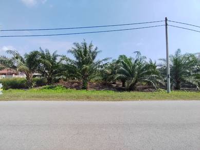 Agricultural-Land-for-sale-Kuala-Langat-Selangor-2