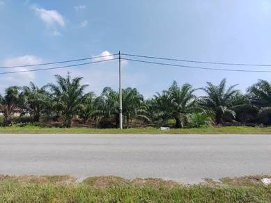 Agricultural-Land-for-sale-Kuala-Langat-Selangor-1