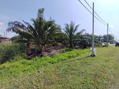 Agricultural-Land-for-sale-Kuala-Langat-Selangor-3