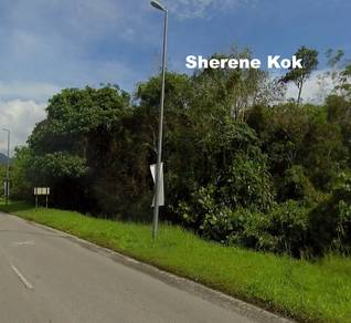 Agricultural-Land-for-sale-Kuching-Sarawak-2