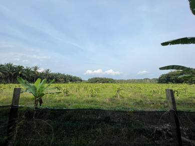 Tanah Pertanian Pasir Panjang Port Dickson